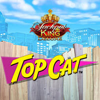 Top Cat in Slots_Jackpots