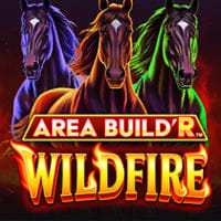 Area Build'R Wildfire in New