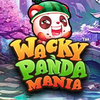 Wacky Panda Mania in New