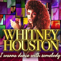 Whitney Houston I Wanna Dance with Somebody in Sub_New