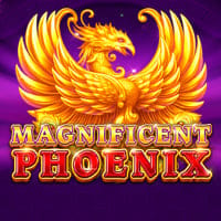 Magnificent Phoenix in New