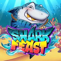 Shark Feast in New