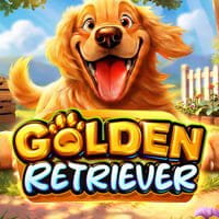 Golden Retriever in New