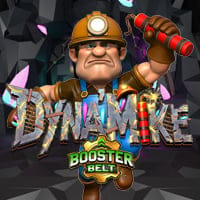 Dyna'Mike BoosterBelt in Sub_New