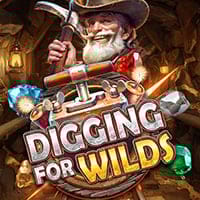 Digging for Wilds in Jackpots