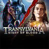 Transylvania Night Of Blood in Must Go Jackpots