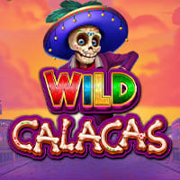 Wild Calacas in Exclusive