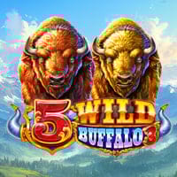5 Wild Buffalo 3 in New